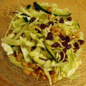 キャベツの納豆サラダ